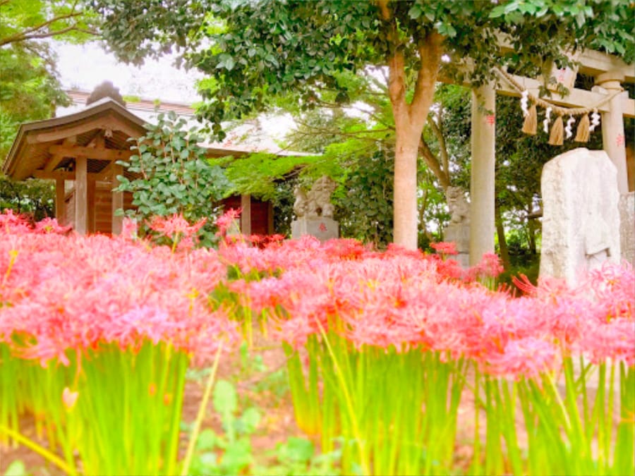 大青田 妙見神社