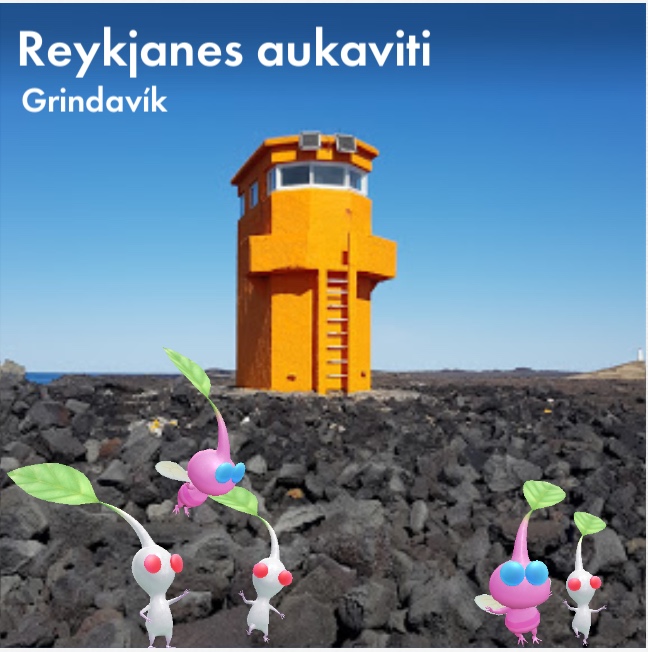 Reykjanes aukaviti