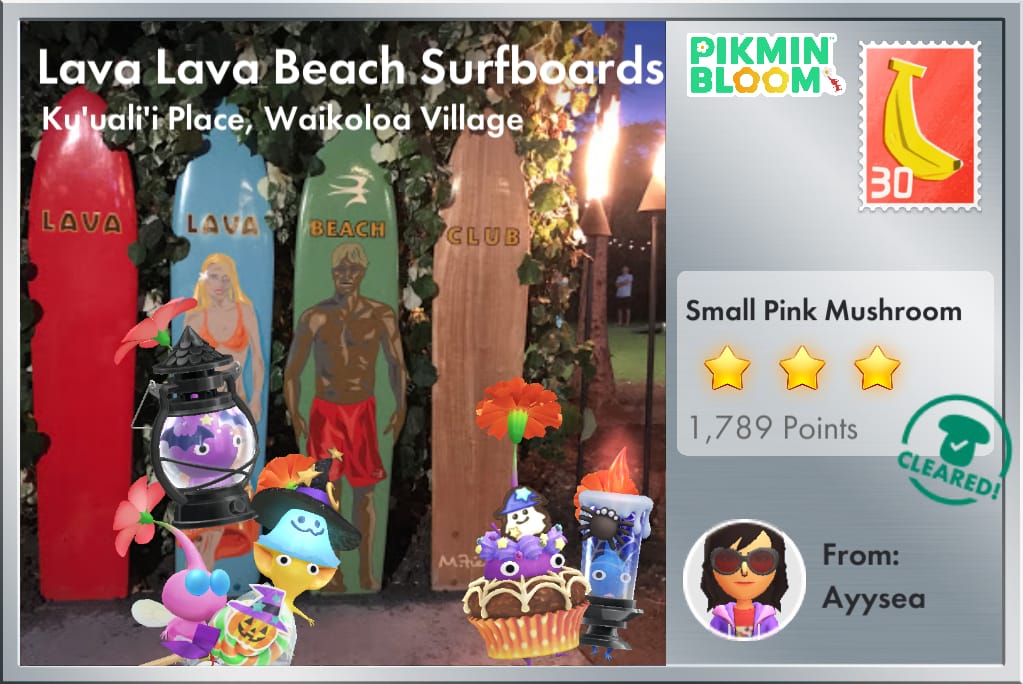 Lava Lava Beach Surfboards