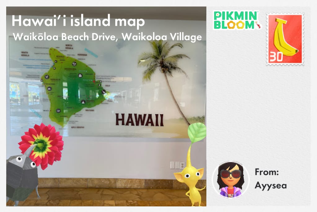 Hawai'i island map