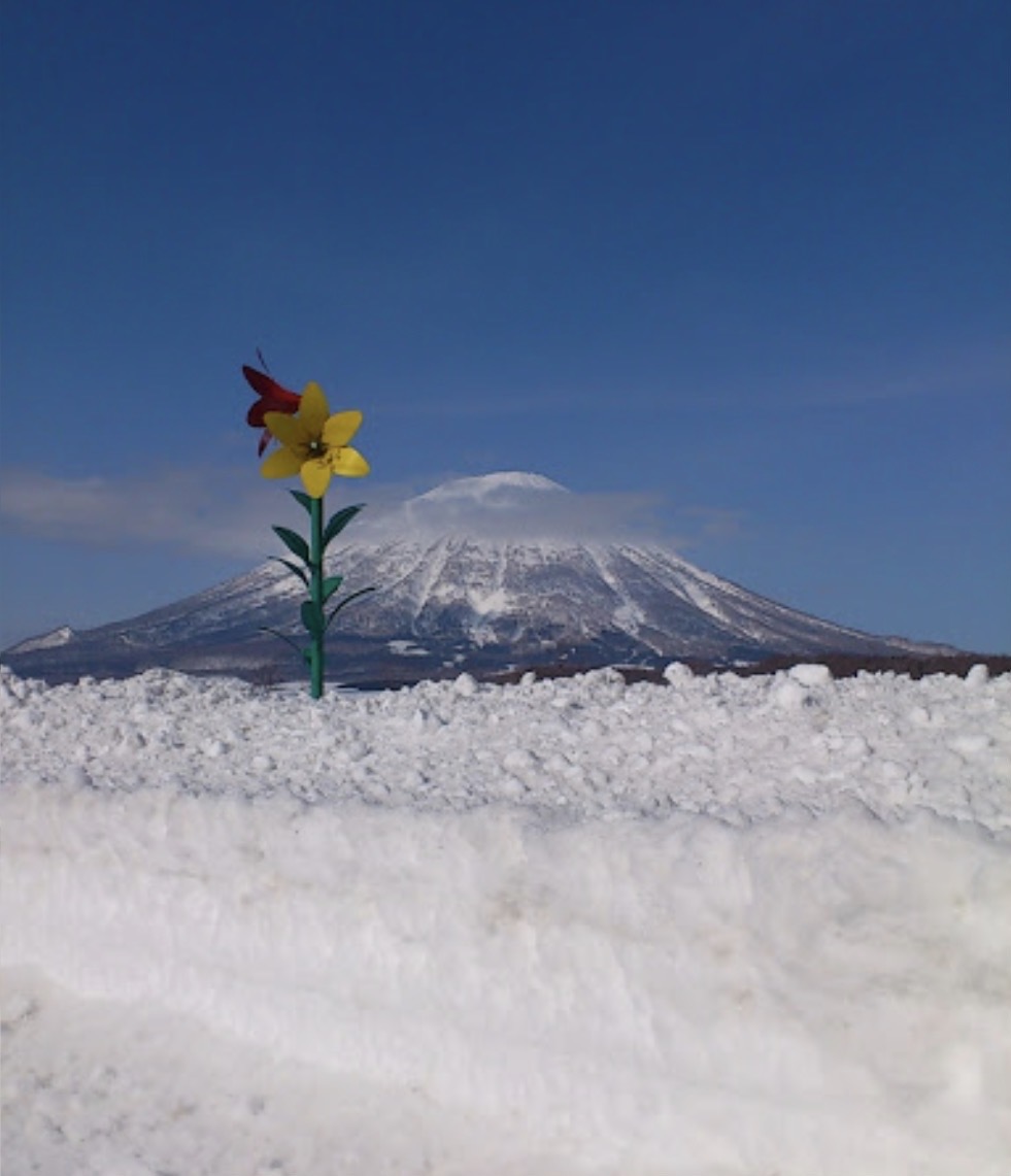 Big Flower
