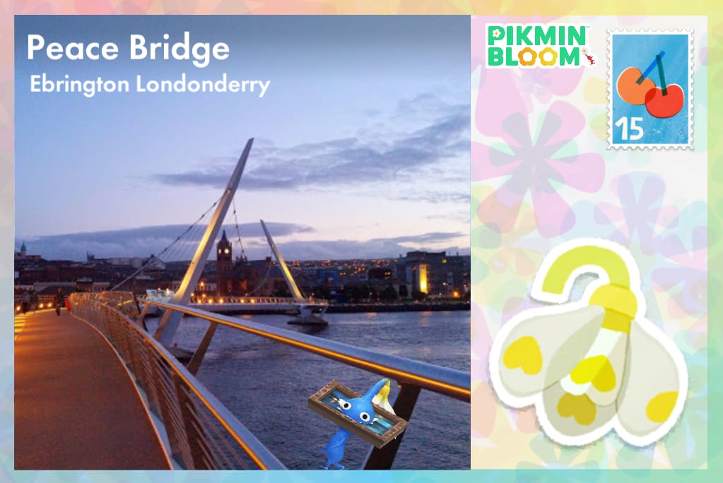 Peace Bridges