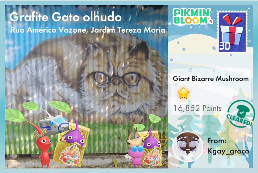 Grafite Gato olhudo